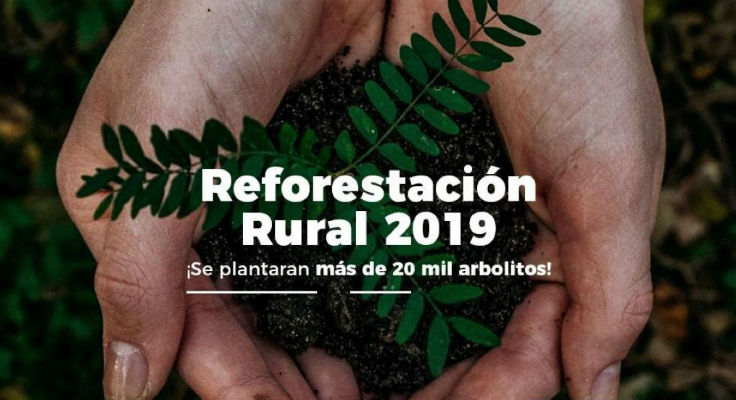 Prepara Ayuntamiento reforestación masiva en zonas rurales de Morelia