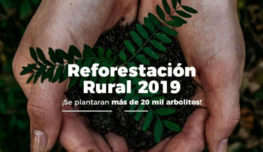 Prepara Ayuntamiento reforestación masiva en zonas rurales de Morelia