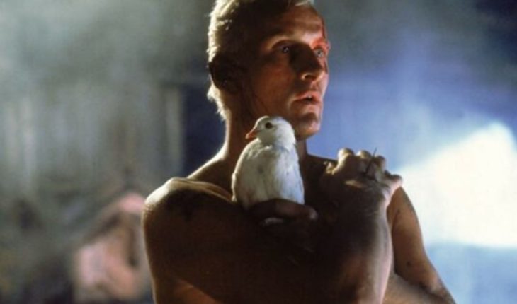 translated from Spanish: At the age of 75, Rutger Hauer, a celebrated actor in “Blade Runner” died.