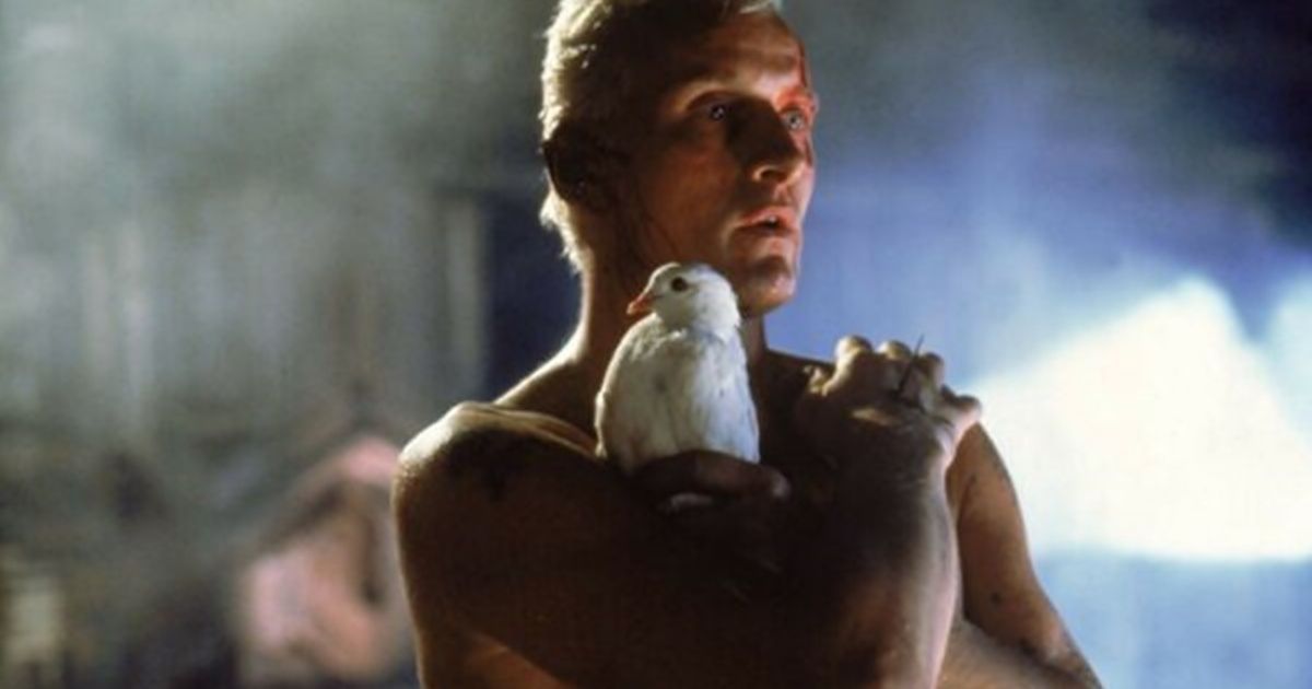 At the age of 75, Rutger Hauer, a celebrated actor in "Blade Runner" died.