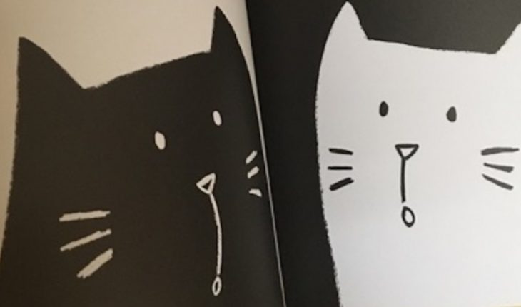 translated from Spanish: Children’s Book “Black Cat, White Cat”: Teaching about the value of differences