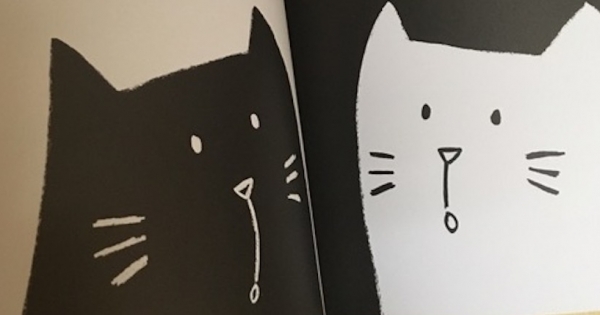 Children's Book "Black Cat, White Cat": Teaching about the value of differences