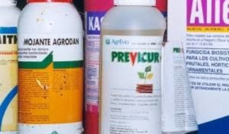 translated from Spanish: Pesticide poisonings, still uncontrolled in Michoacán