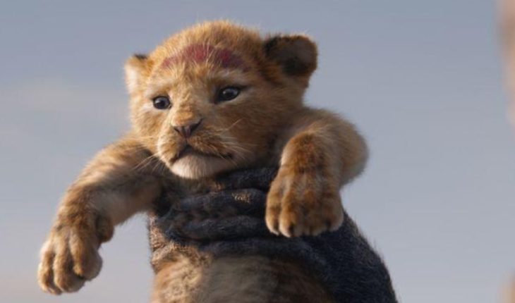 translated from Spanish: The 10 differences in “The Lion King”: the old versus the new