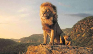 translated from Spanish: “The Lion King”: Disney tech-reinforces the beloved children’s classic