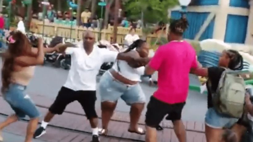 [VIDEO] Family starred in brutal fight at Disney park