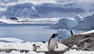 ¡Preocupante! El deshielo de la Antártica marca un nuevo récord