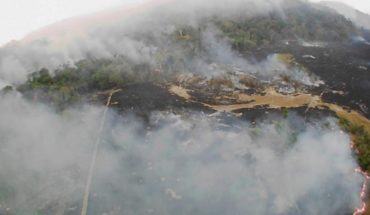 Ambientalistas exigen medidas concretas para frenar incendio en el Amazonas