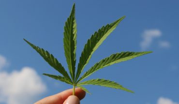 Corte ordena a Salud reglamentar uso medicinal de la cannabis