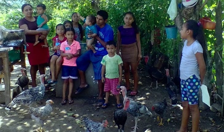 El desplazamiento forzado en Chiapas que alerta al CNI