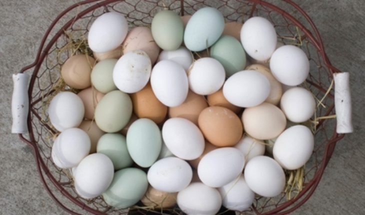 El huevo, la joya nutricional que contribuye a reducir el hígado graso