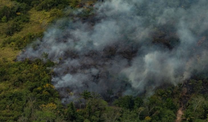 Greenpeace sobrevuela el Amazonas y documenta extensión y alcance del fuego