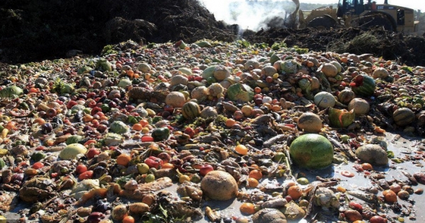 Grupo de expertos de la ONU llama a controlar la agricultura y el despilfarro de alimentos para frenar el Cambio Climático