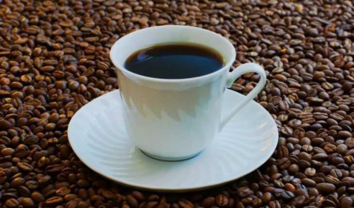 La ciencia y su respaldo al café: los cuatro beneficios de la bebida matutina