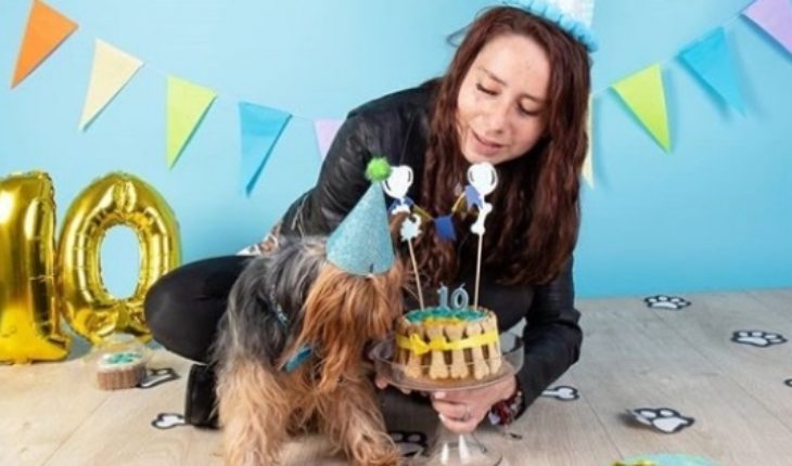 La creciente tendencia de celebrar el cumpleaños de las mascotas