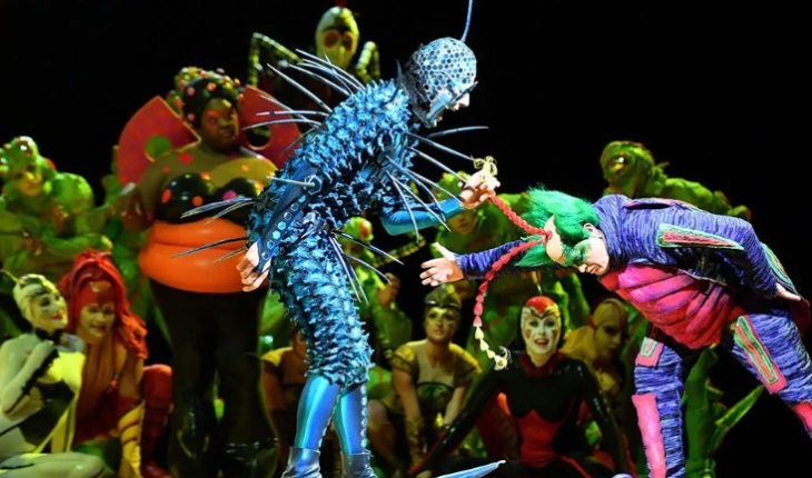 OVO de Cirque Du Soleil abre nuevas localidades