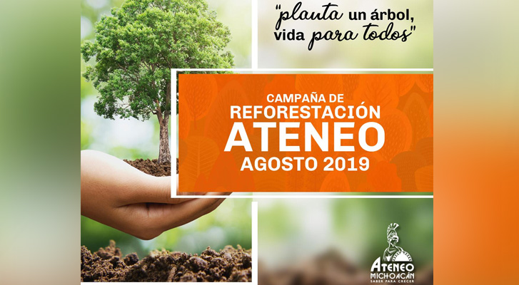 Reforestación 2019 Ateneo, Michoacán