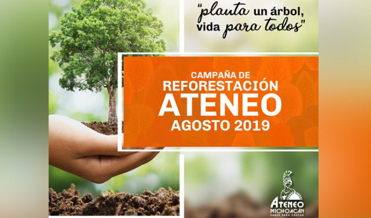 Reforestación 2019 Ateneo, Michoacán