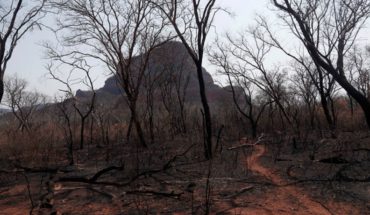 translated from Spanish: Amazon fires have already ravaged nearly 1 million hectares in Bolivia alone