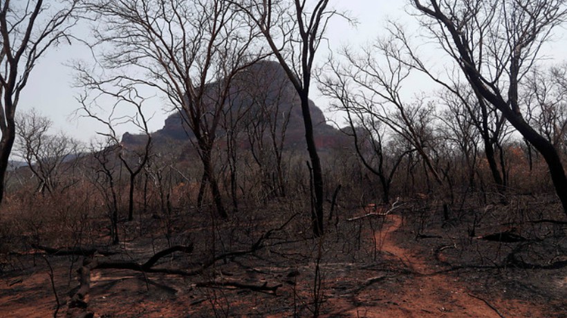 Amazon fires have already ravaged nearly 1 million hectares in Bolivia alone