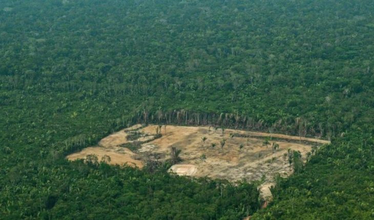 translated from Spanish: Compared to last year, Amazonder deforestation increased by 278%