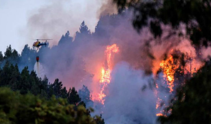 translated from Spanish: Fire in Gran Canaria forces evacuation of two thousand people