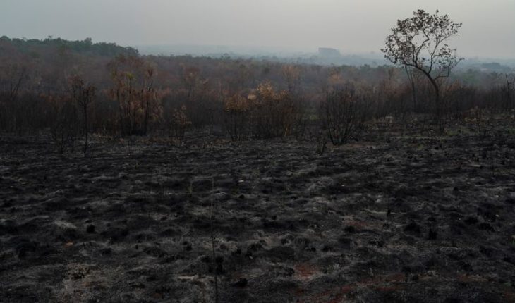 translated from Spanish: Respiratory diseases begin to occur due to fires in the Amazon