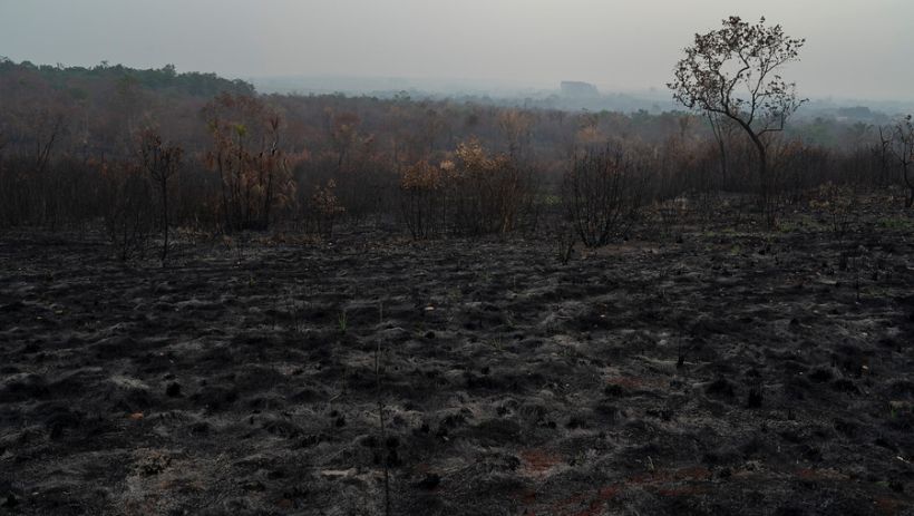 Respiratory diseases begin to occur due to fires in the Amazon