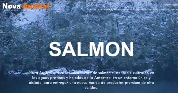 Salmon Leaks II: Manipulations and deceptions throughout the Nova Austral salmon production chain