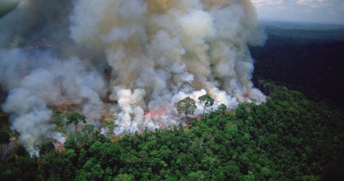 The Amazon smoke reached north of Mendoza