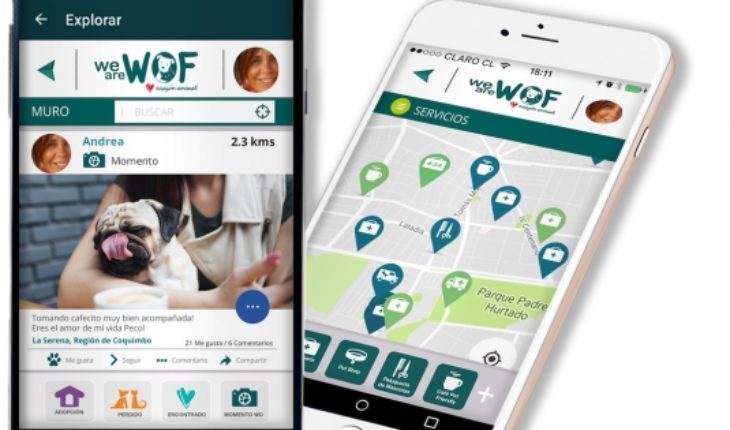 translated from Spanish: The innovative app that generates community around the adoption and responsible tenure of pets