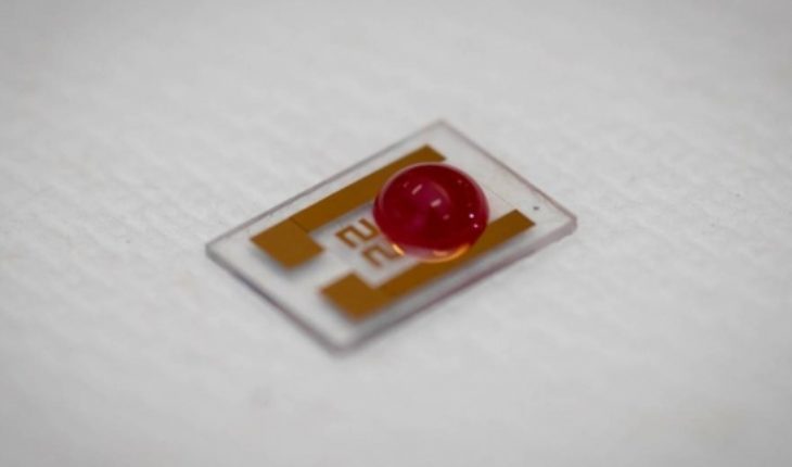 translated from Spanish: They create a chip that can detect cancer early