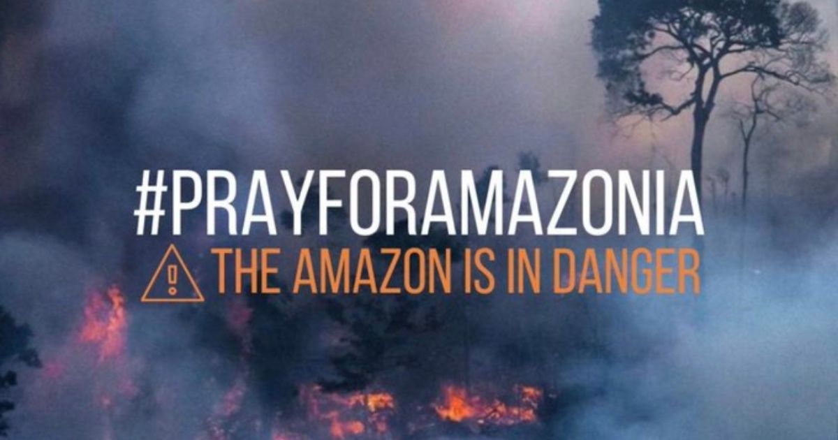 Wildfires in the Amazon