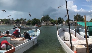 Pesca ilegal ‘agota’ el pulpo, el mero y pepino marino en Yucatán