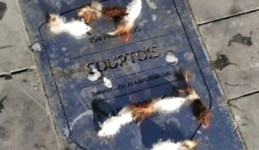 Placa de Courtois en el Wanda llena de ratas antes del derbi Real-Atlético