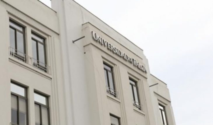 U. de Talca: Corte Suprema rechaza recurso de protección de académico que acusa persecución