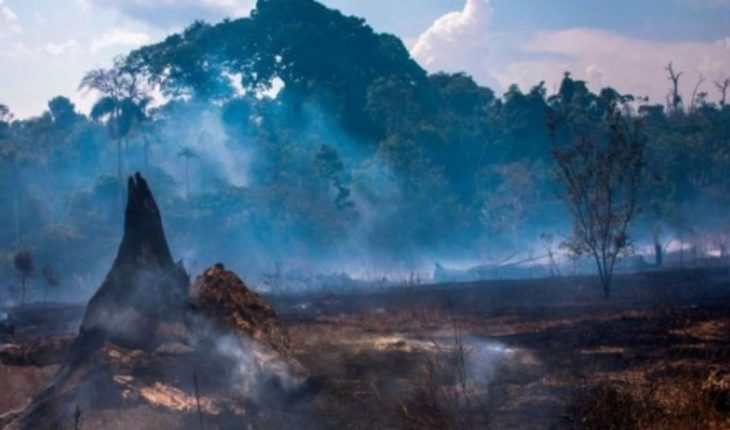 translated from Spanish: Amazon fires: who benefits from the economic exploitation of the Brazilian Amazon