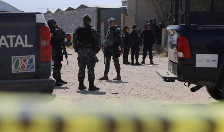 translated from Spanish: Confrontation in Tamaulipas was extrajudicial execution: NGO
