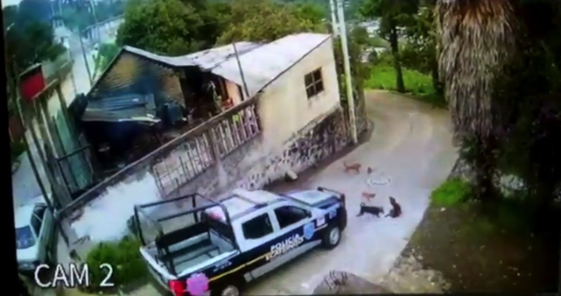 Cops run over and kill a puppy in Ecatzingo, Edomex (Video)
