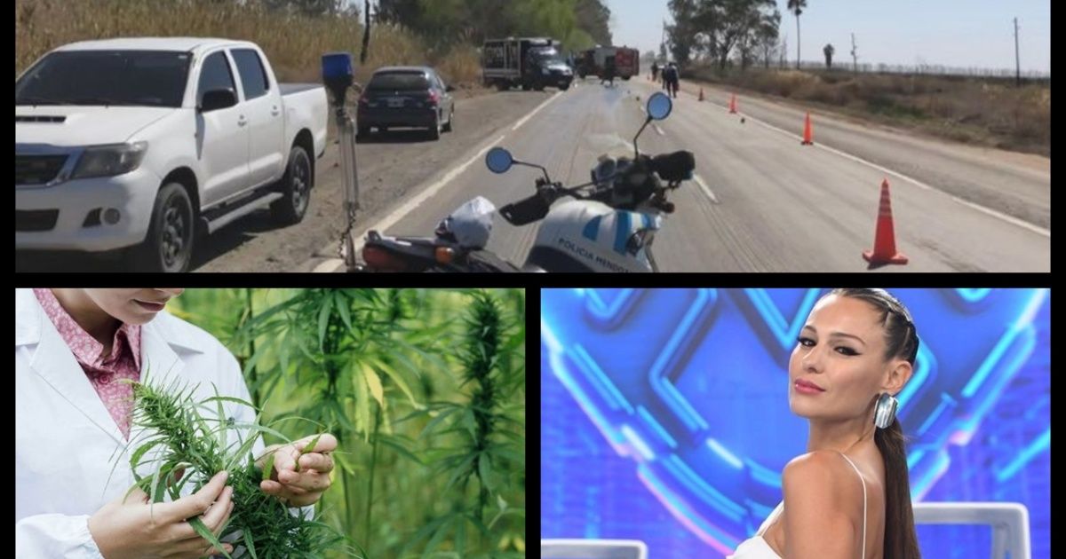 Five killed on Route 40, Mario Ledesma on arbitration, Pampita on China Suarez, special spring allergy and more...