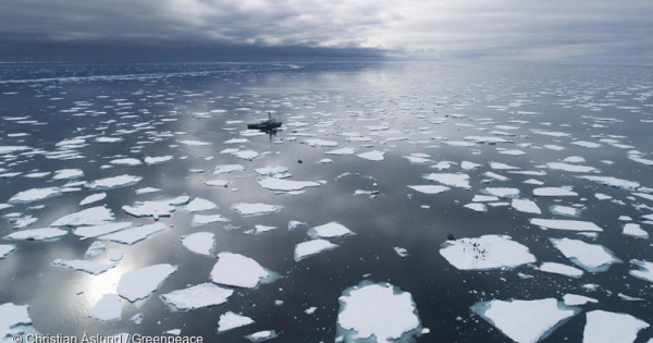 Greenpeace to new IPCC report: "It's a last call out to deal with the climate crisis"