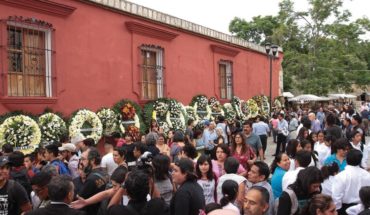translated from Spanish: Mexico organizes tribute to Francisco Toledo