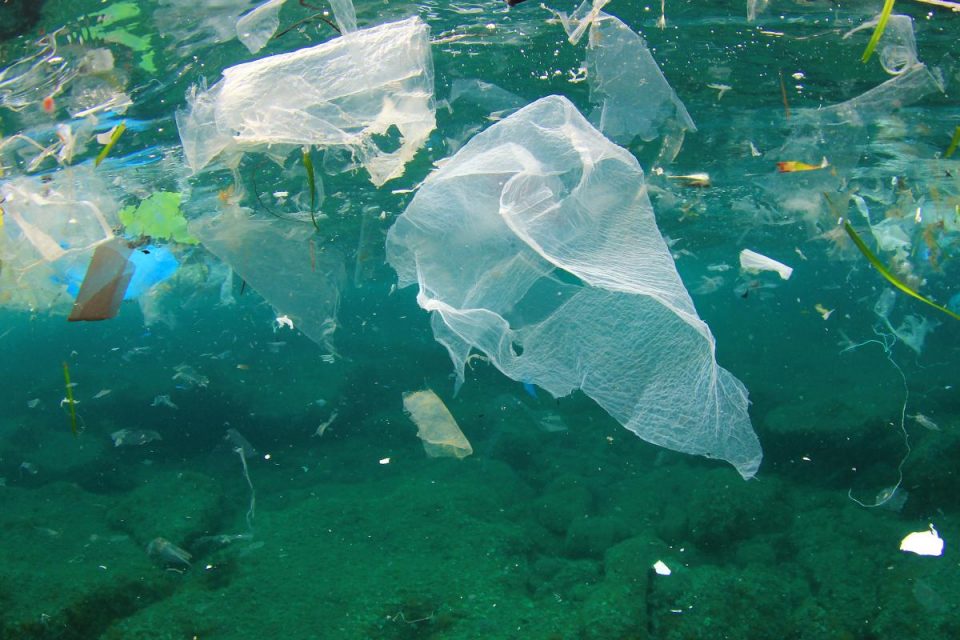 Cómo el plástico que tiramos al mar acaba en nuestra mesa