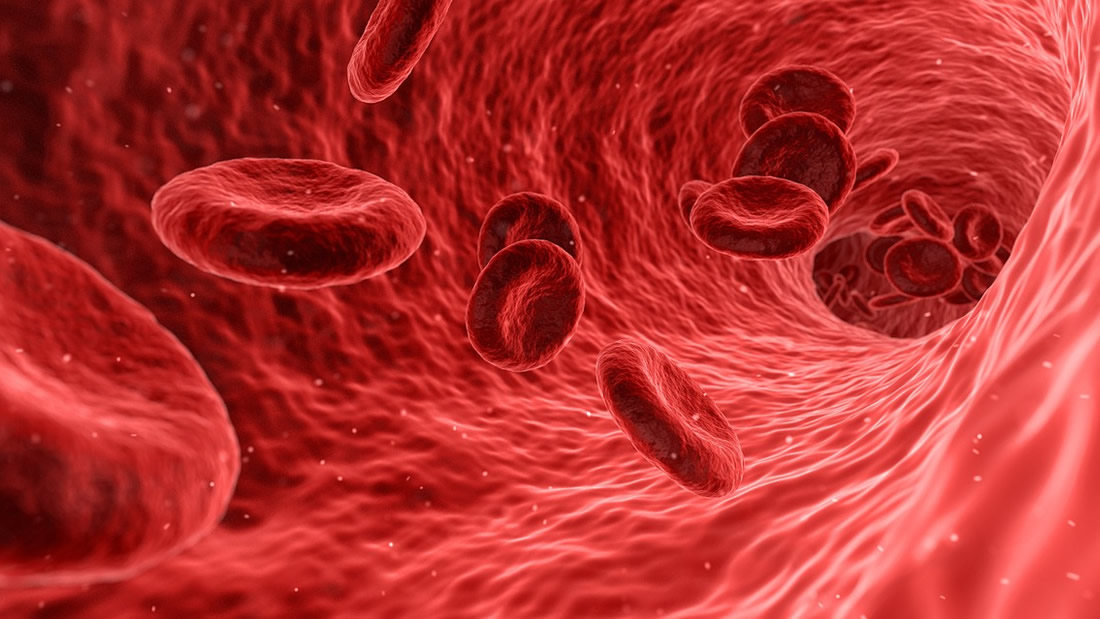 Científicos japoneses crean sangre artificial que podría adaptarse a cualquier grupo sanguíneo