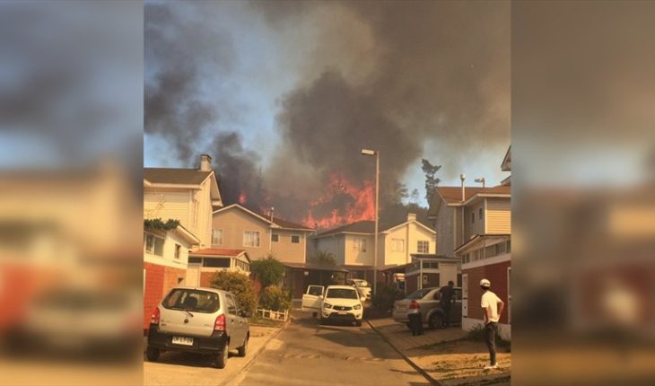 Incendio forestal afecta el sector de Placilla-Curauma en Valparaíso