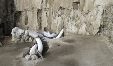Hallan restos de mamuts a 10 km de aeropuerto en Santa Lucía