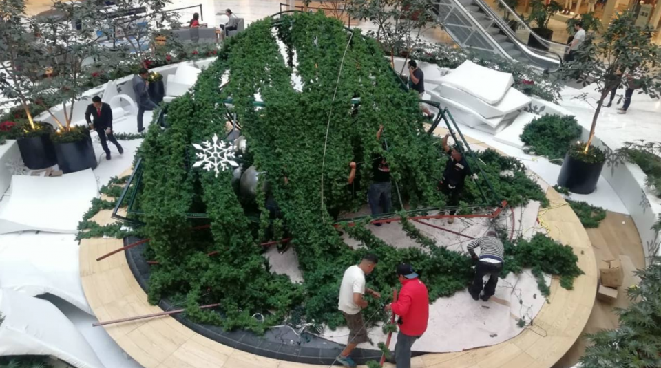 15-metre tree collapses and injures a worker in Plaza Manacar