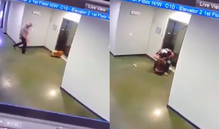 translated from Spanish: Man Saved the Life of a Puppy in an Elevator in Texas (Video)