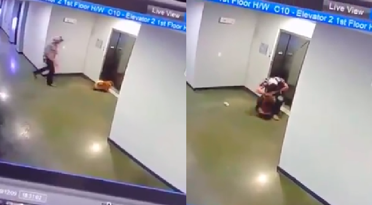 Man Saved the Life of a Puppy in an Elevator in Texas (Video)