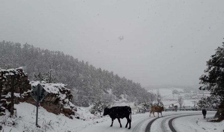 translated from Spanish: Durango-Mazatlán highway closes over heavy snowfall